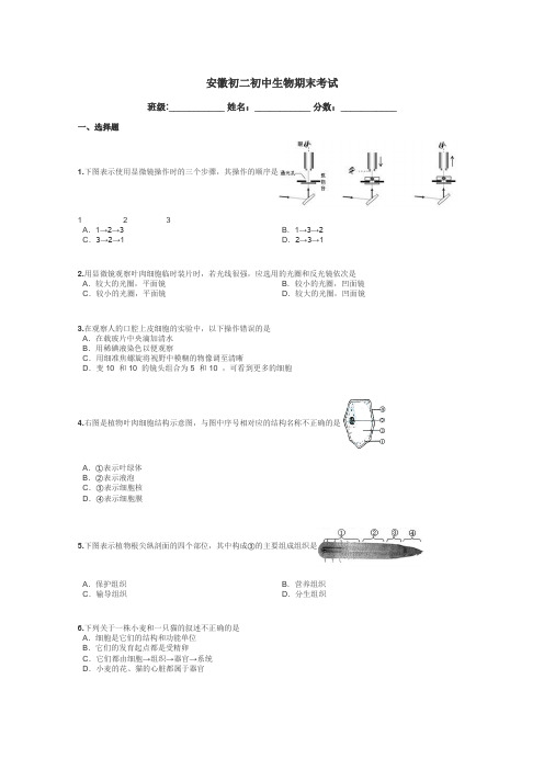 安徽初二初中生物期末考试带答案解析
