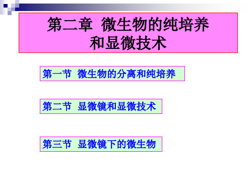 第二章--微生物的纯培养和显微技术