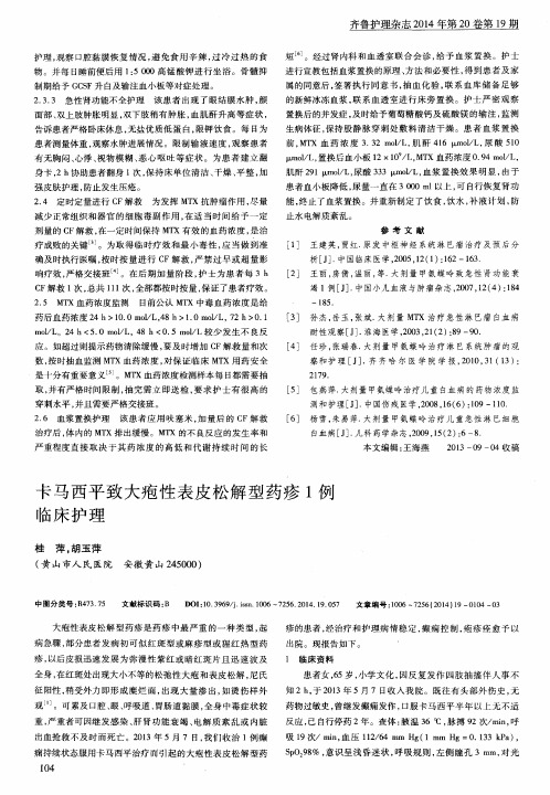 卡马西平致大疱性表皮松解型药疹1例临床护理