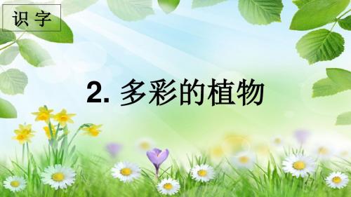 识字 2 多彩的植物.