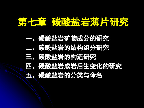 【地质资料】第7章 碳酸盐岩石薄片研究01