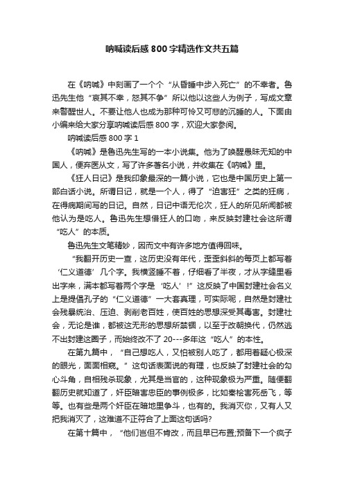 呐喊读后感800字精选作文共五篇