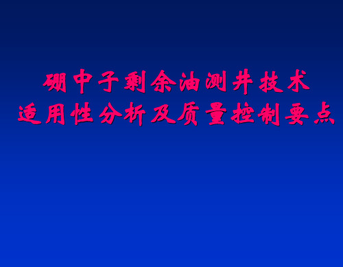 硼中子剩余油测井技术