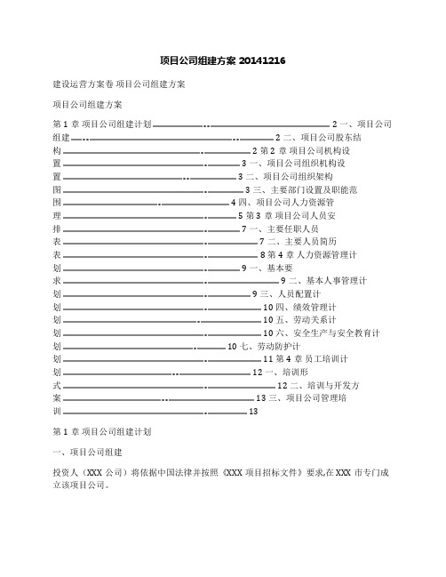 项目公司组建方案20141216