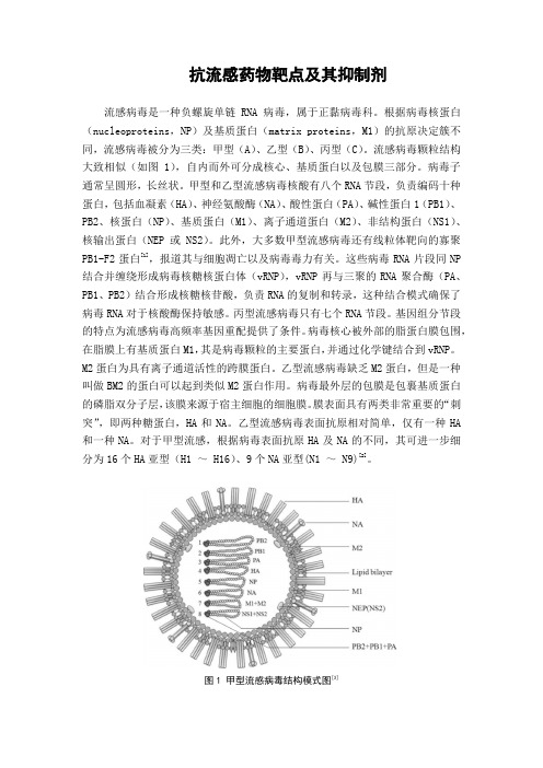 抗流感药物靶点及其抑制剂