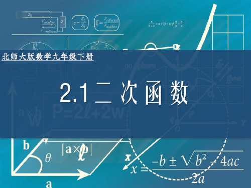 北师大版数学九年级下册二次函数说课课件