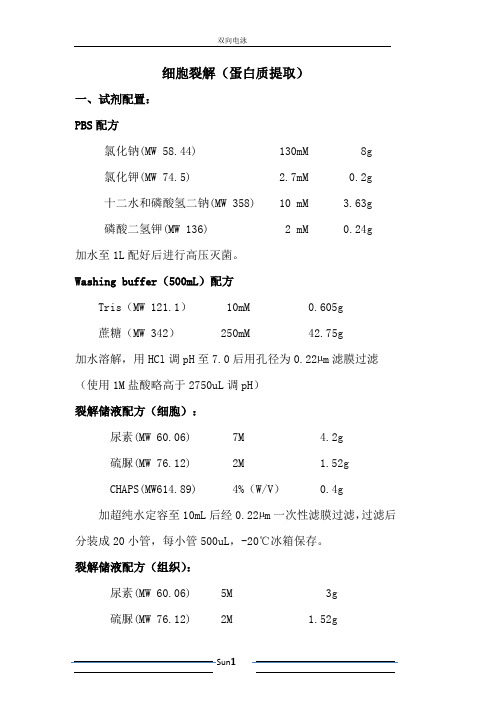 双向电泳--标准操作(完整版)