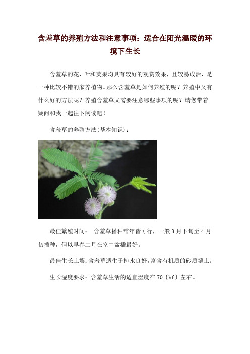 含羞草的养殖方法和注意事项：适合在阳光温暖的环境下生长