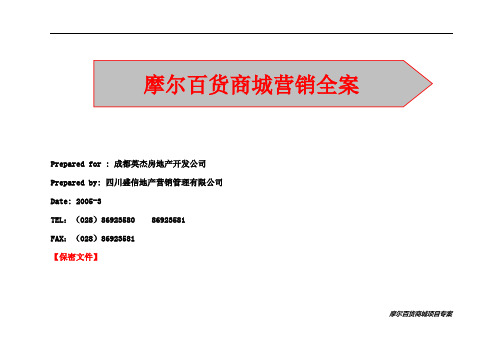 波尔多商城营销战略全案