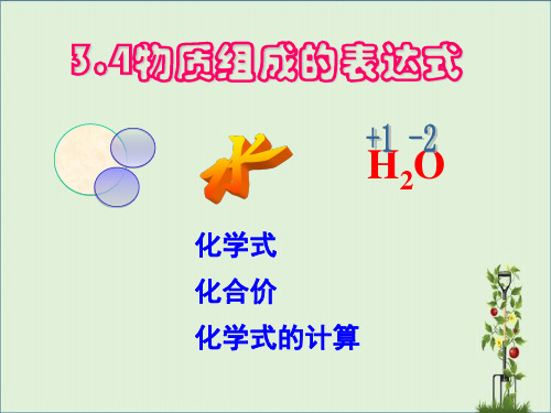 九年级化学物质组成的表示式全解