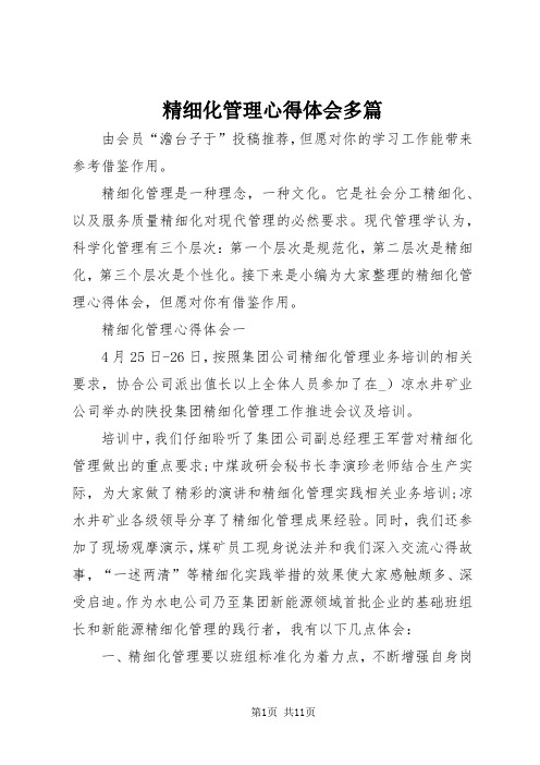 精细化管理心得体会多篇