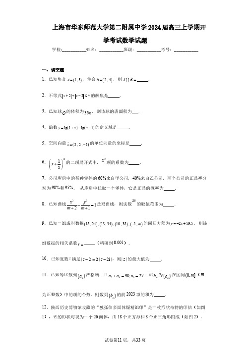 上海市华东师范大学第二附属中学2024届高三上学期开学考试数学试题