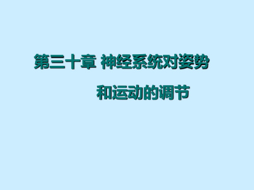 生理学06级  第九篇 神经系统4神经系统对姿势和运动调节精品文档