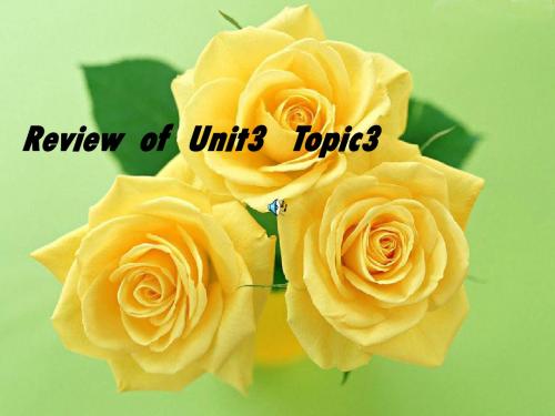 仁爱版初中英语九年级上册The review of Unit3 Topic3课件