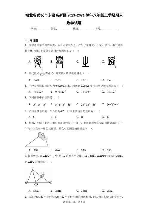 湖北省武汉市东湖高新区2023-2024学年八年级上学期期末数学试题