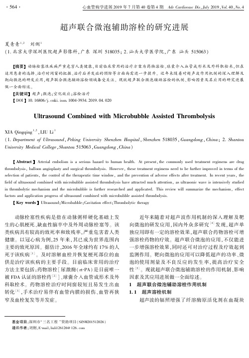 超声联合微泡辅助溶栓的研究进展