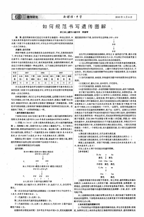 如何规范书写遗传图解