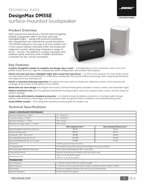 博斯DesignMax DM5SE表面安装扬声器技术参数说明书