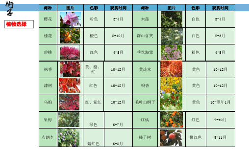 植物图表