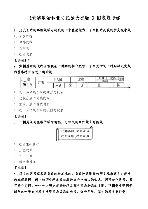 《北魏政治和北方民族大交融 》图表题专练
