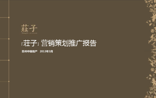XXXX年3月苏州庄子营销策划推广报告