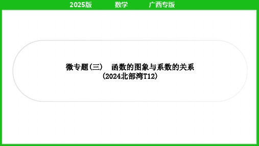 微专题(三) 函数的图象与系数的关系+++课件+2025年中考数学人教版一轮复习(广西)