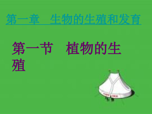 生物圈中生命的延续和发展课件教学PPT最新