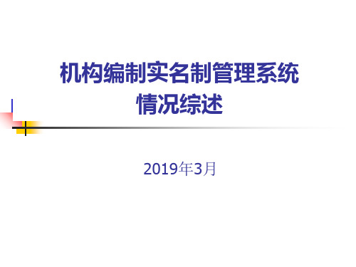 实名制管理信息系统情况综述38页PPT