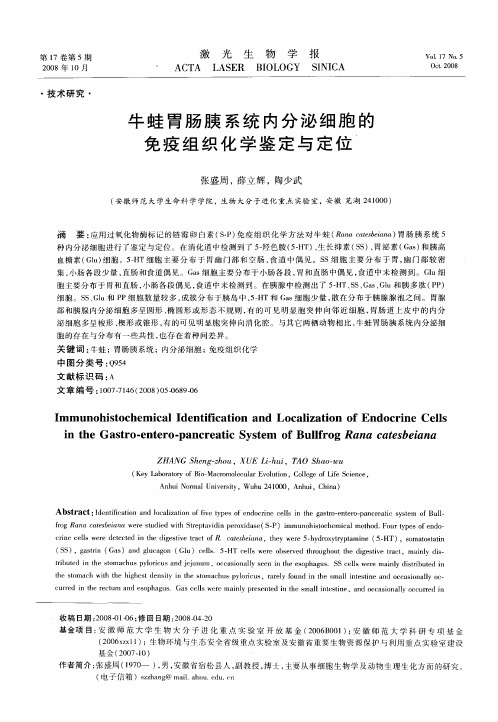 牛蛙胃肠胰系统内分泌细胞的免疫组织化学鉴定与定位