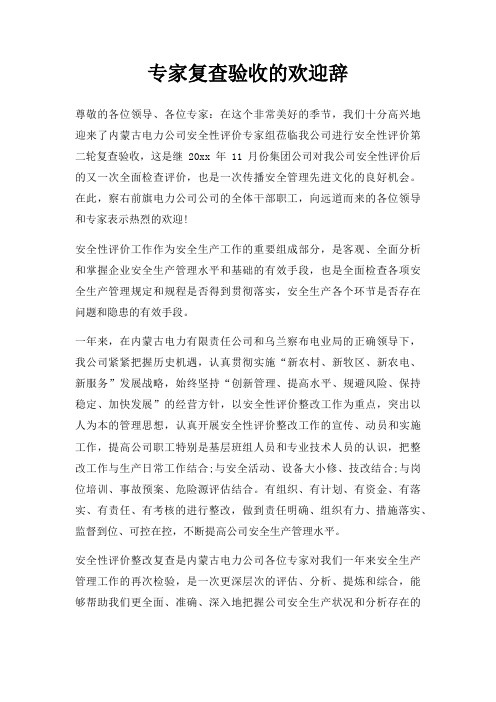 专家复查验收的欢迎辞三篇