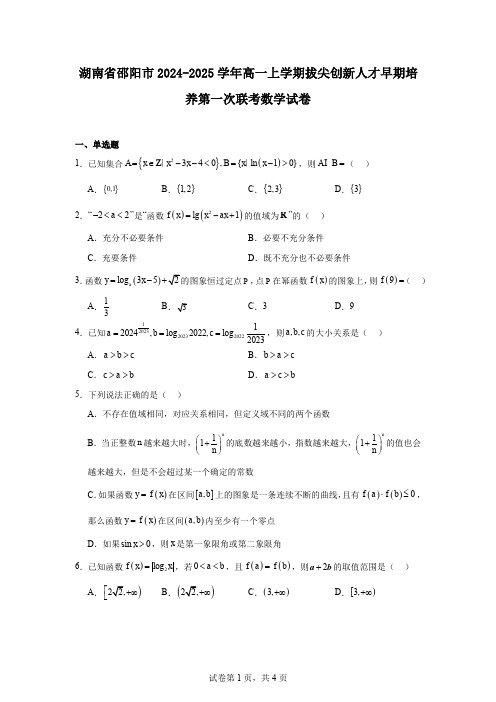 湖南省邵阳市2024-2025学年高一上学期拔尖创新人才早期培养第一次联考数学试卷