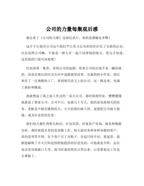 公司的力量每集观后感