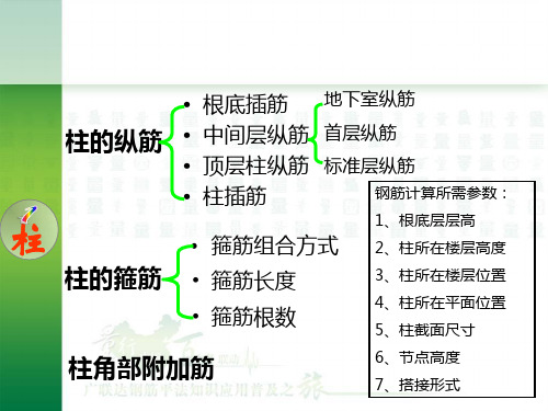 柱子墙板的钢筋计算部分