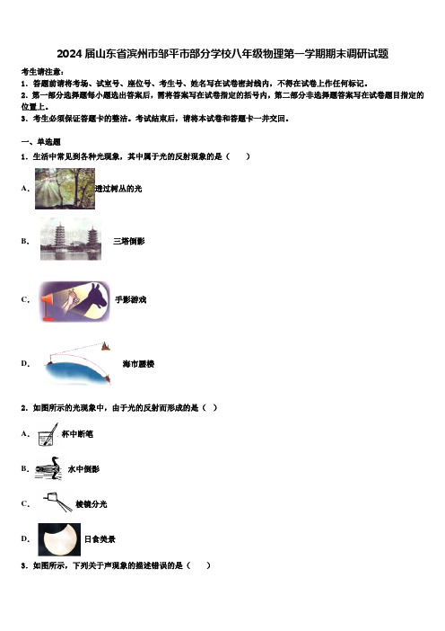 2024届山东省滨州市邹平市部分学校八年级物理第一学期期末调研试题含解析