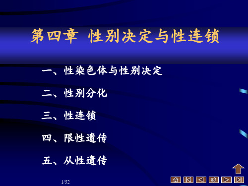 遗传学第四章 性别决定与性连锁(新)