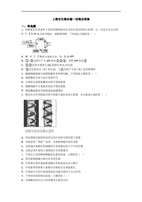 上海市生物必修一试卷及答案