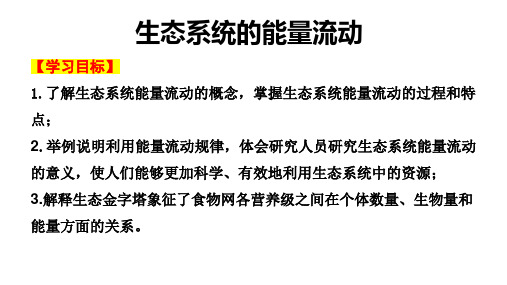 高三生物一轮复习课件生态系统的能量流动