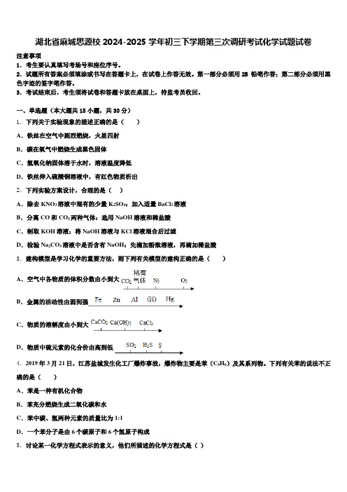 湖北省麻城思源校2024-2025学年初三下学期第三次调研考试化学试题试卷含解析