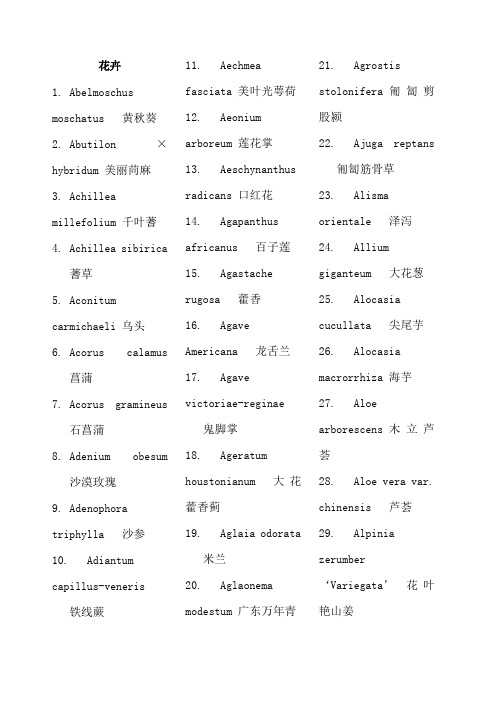 常用园林植物拉丁学名