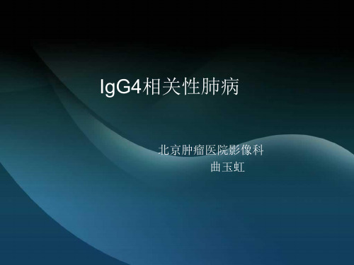 IgG4相关性肺病资料