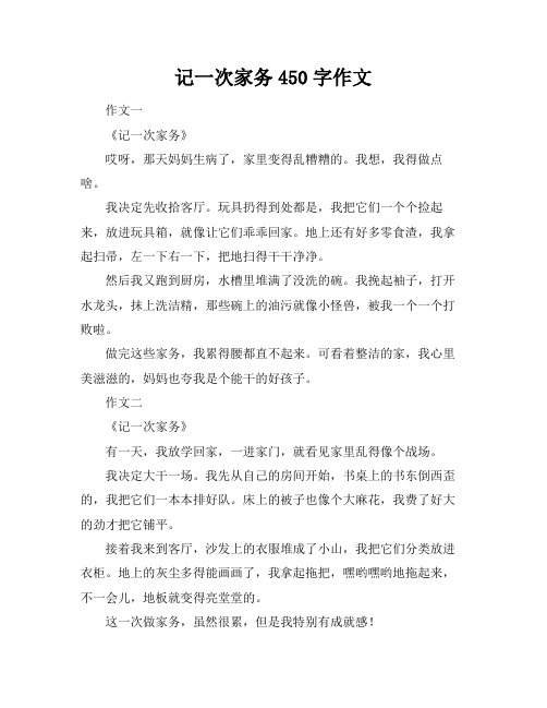 记一次家务450字作文