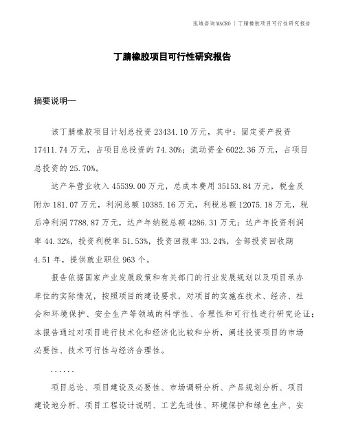 丁腈橡胶项目可行性研究报告