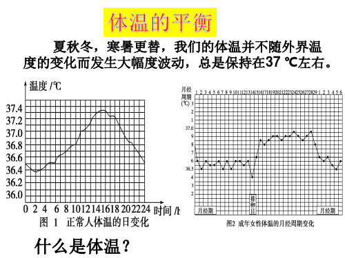 体温调节PPT 演示文稿