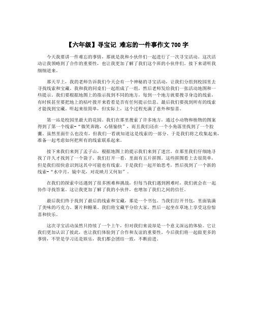 【六年级】寻宝记 难忘的一件事作文700字