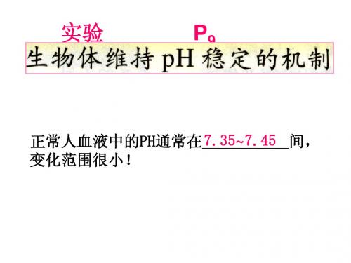 实验：生物体维持PH稳定的机制