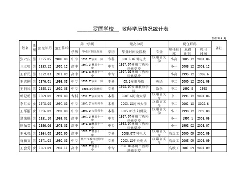 教师基本情况统计表样表