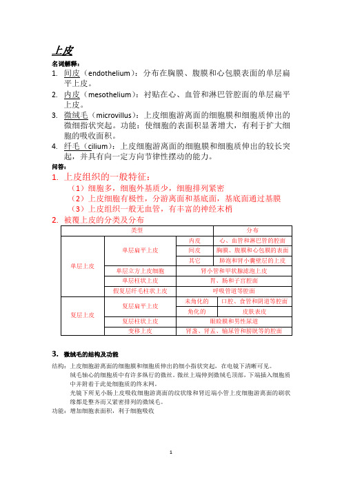 组胚总结(1)