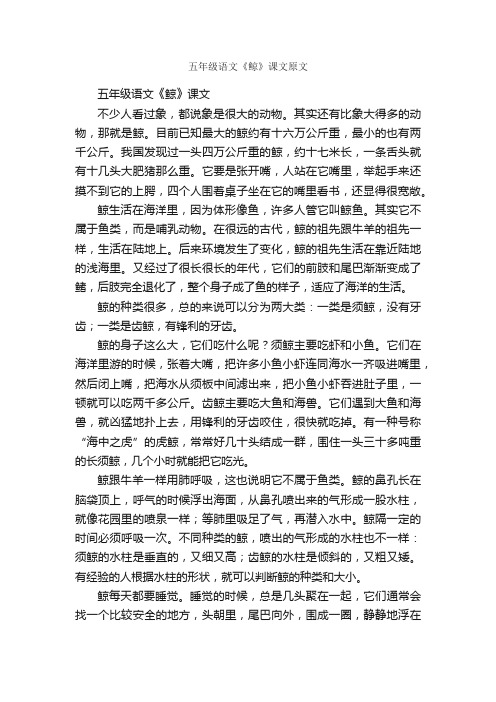 五年级语文《鲸》课文原文