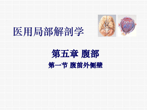 医用局部解剖学第五章腹部第一节腹前外侧壁