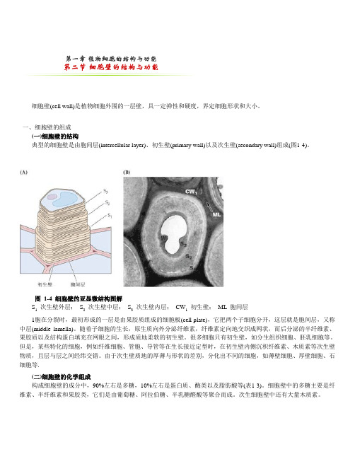 第二节 细胞壁的结构与功能